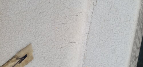 Gelcoat-2026-06-27-054059