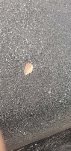 Hull-20251018_145847