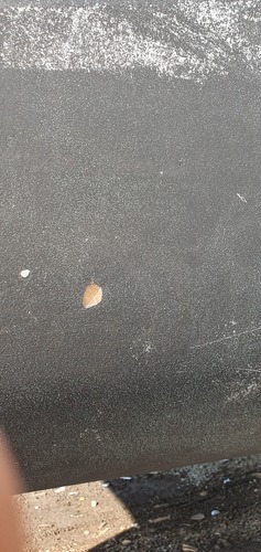 Hull-20251018_145853